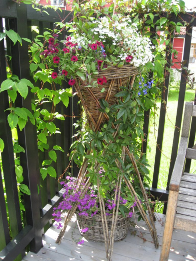 Samplantinger av sommerblomster