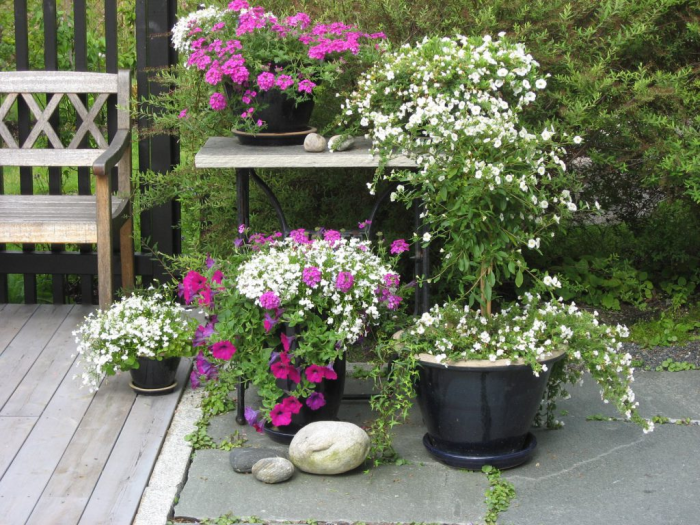 Hagerunde i ferietiden - samplantinger av sommerblomster i matchende farger
