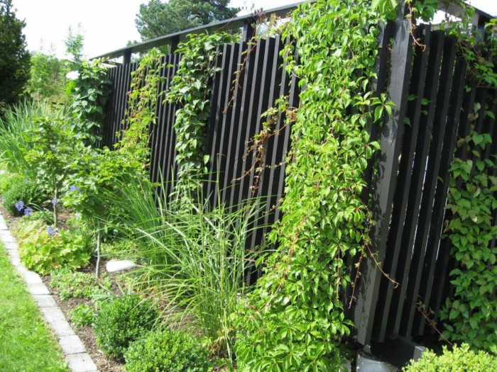 Plantene i bedet har fått gro seg til