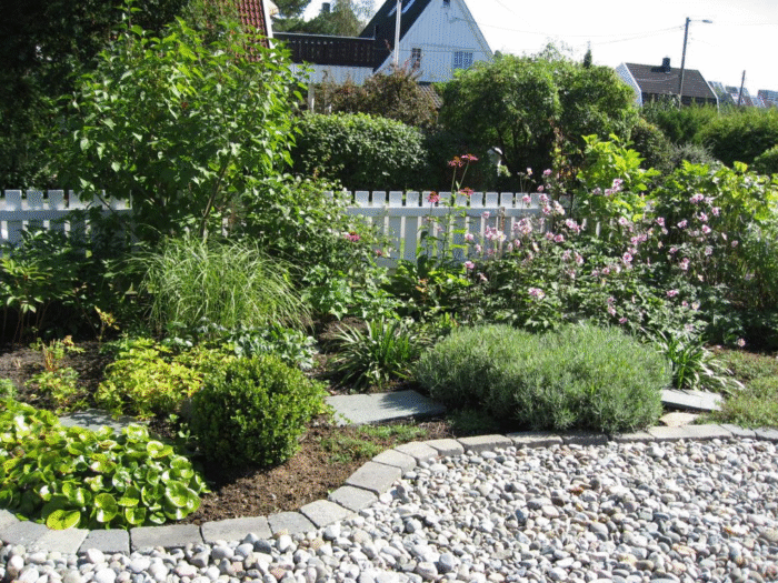 Hovedbedet med all sin beplantning