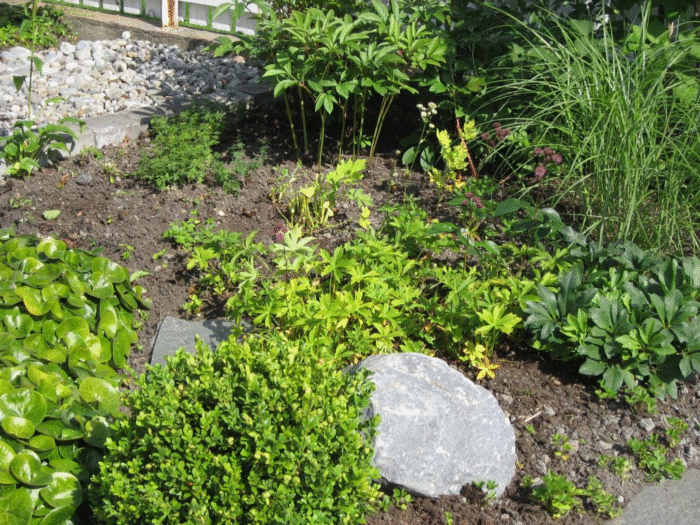 Stusse meg her og stusse meg der i blomsterbedet