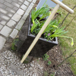 Kantskjærer - mitt beste hageredskap