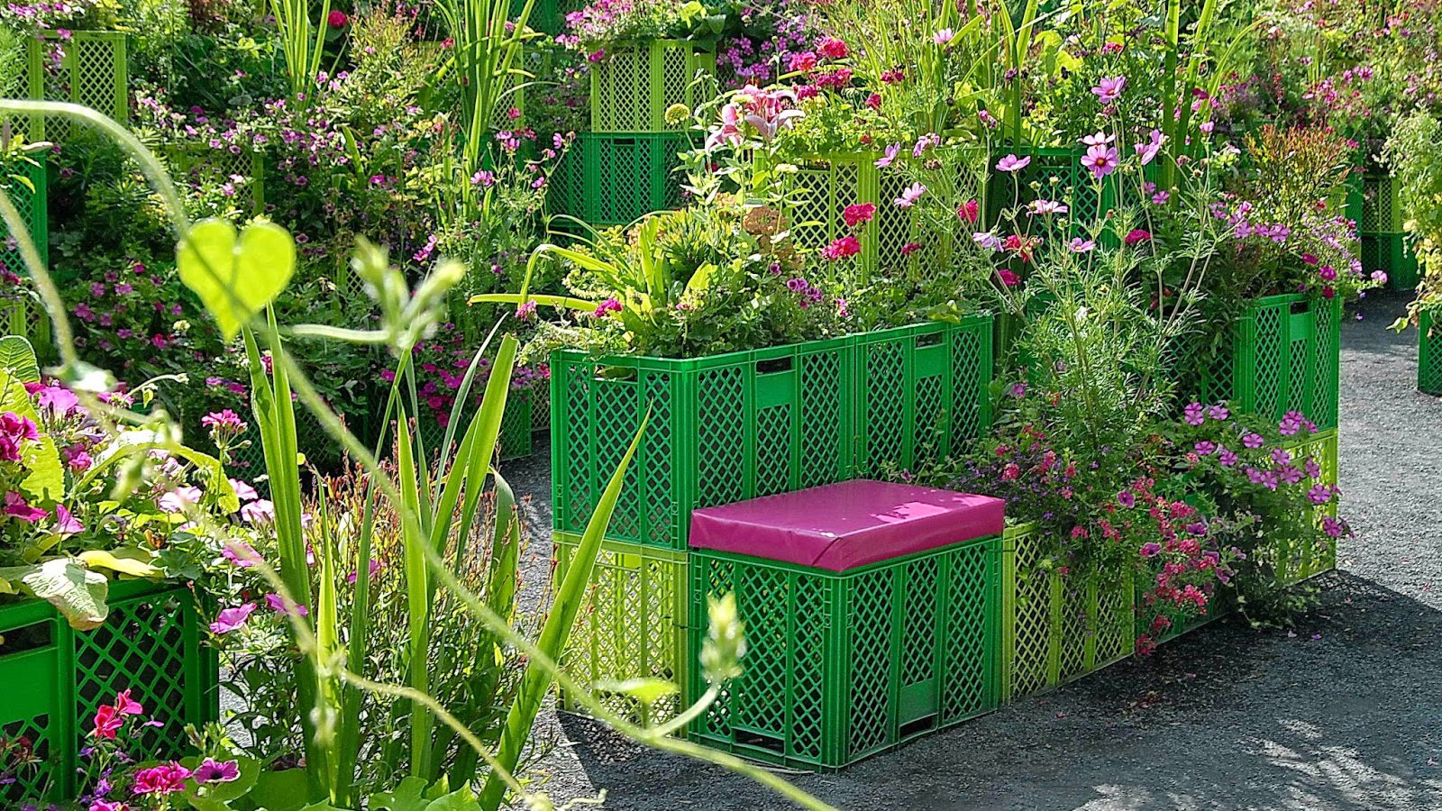 Design din hage med høybed