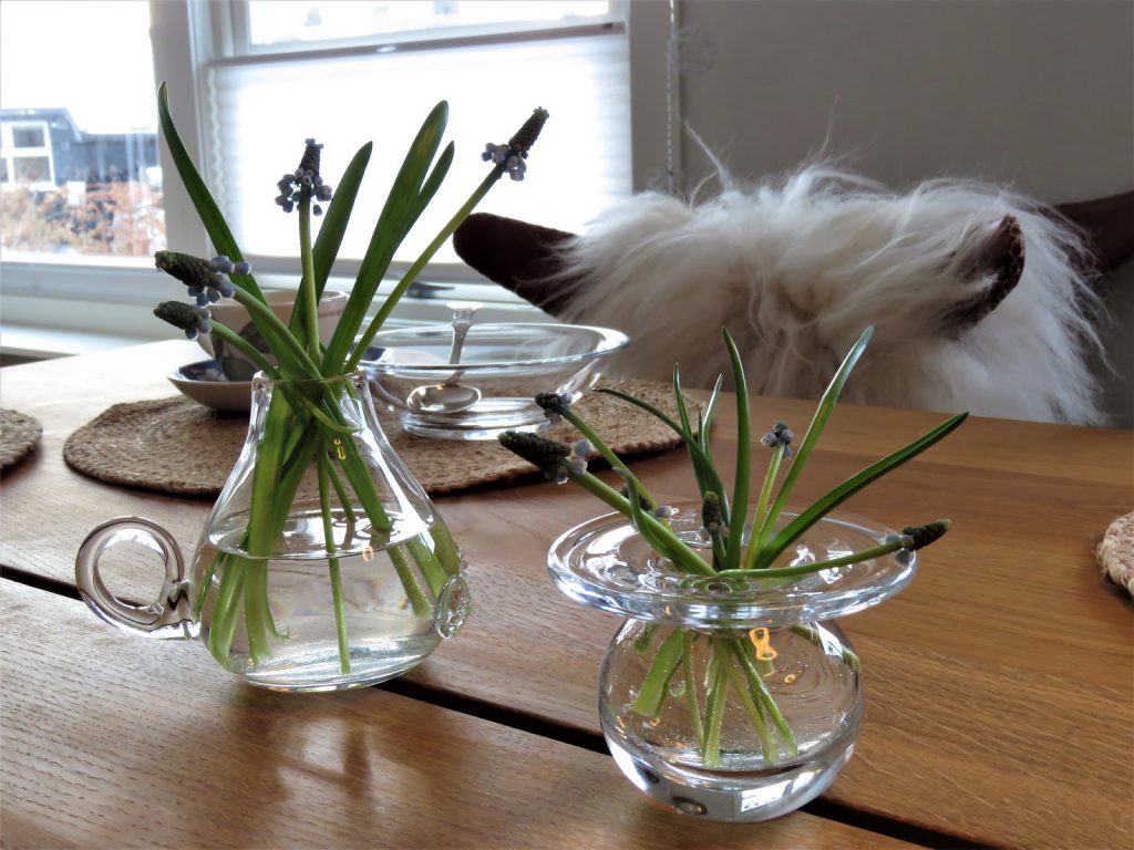 Boddekking med Perleblomster - Perleblomster i forskjellige glassvaser - boddekking - interiør