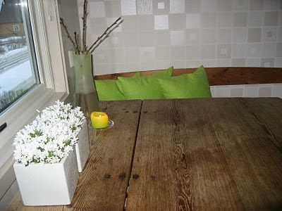 Tips til hvit blomstring i krukker - hvit campanula på kjøkkenet