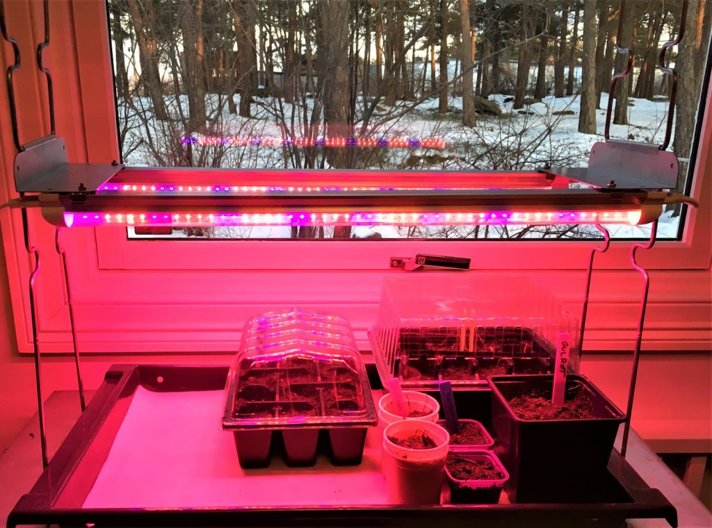 Såutstyr med LED plantelys fra GrowCamp i Danmark