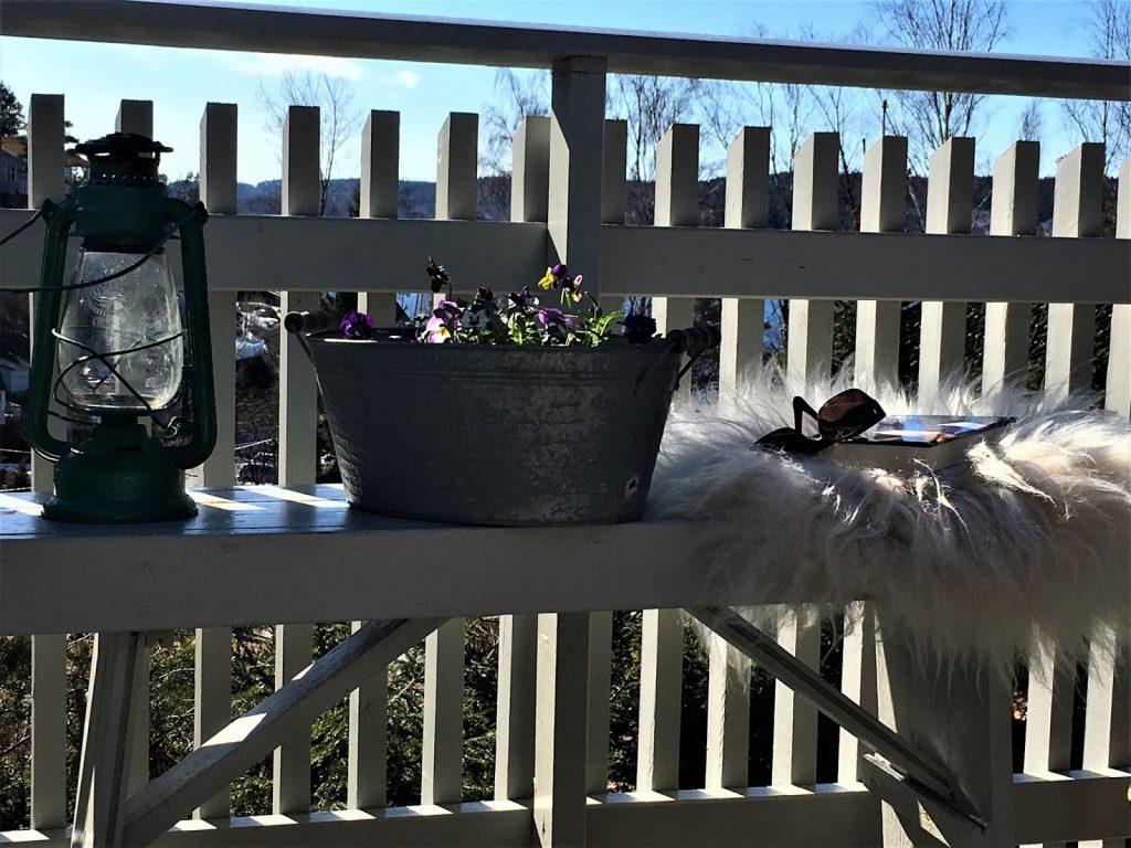 Vårblomster i krukker har ankommet hytta - Stilleben med vårblomster på hytta - mot utsikten