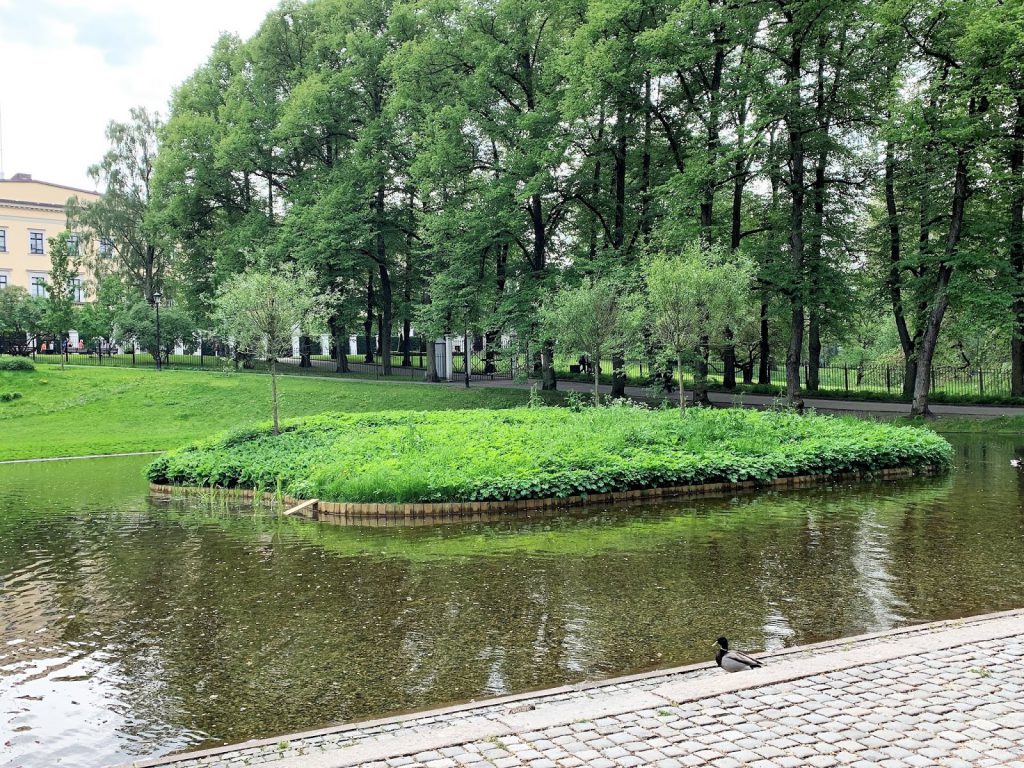 Slottsparken - en oase i hovedstaden vår, Oslo. En øy med trær og planter IMG_0242 (2)-min