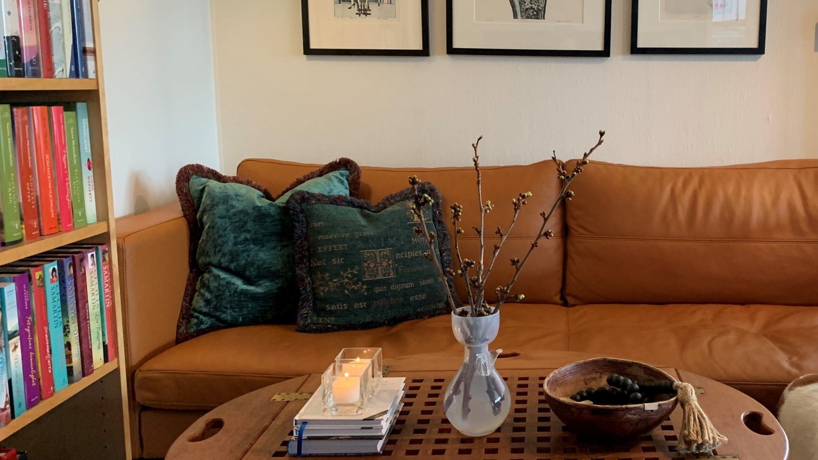 Drivind av kvist - start våren med blomstring inne