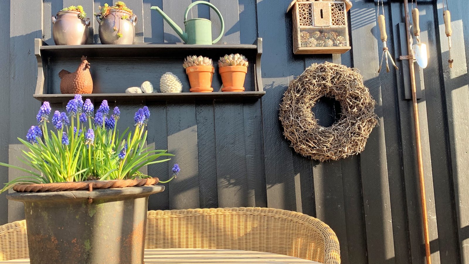 Planter er satt ut på terrassen og gleder seg over solglimt