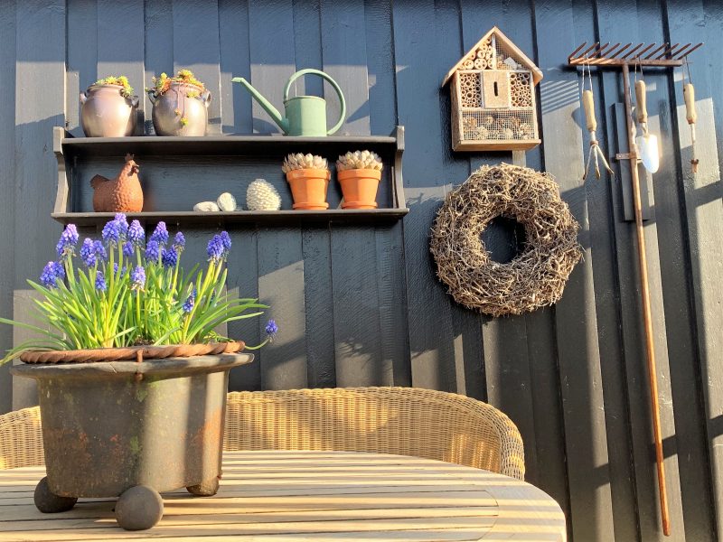 Planter er satt ut på terrassen og gleder seg over solglimt